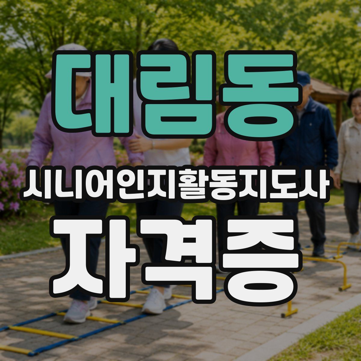 대림동 시니어인지활동지도사 자격증