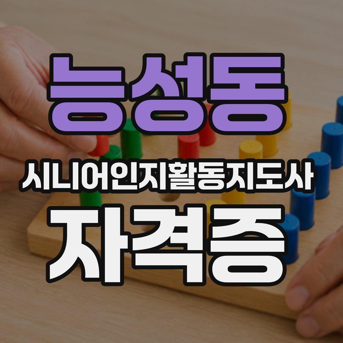 능성동 시니어인지활동지도사 자격증