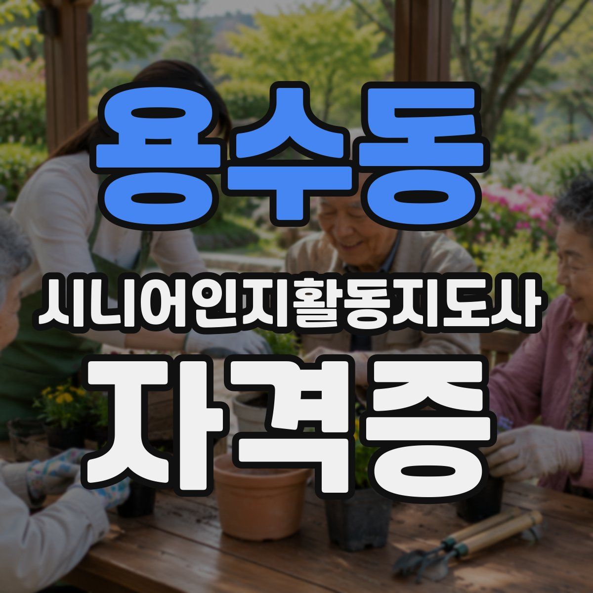 용수동 시니어인지활동지도사 자격증