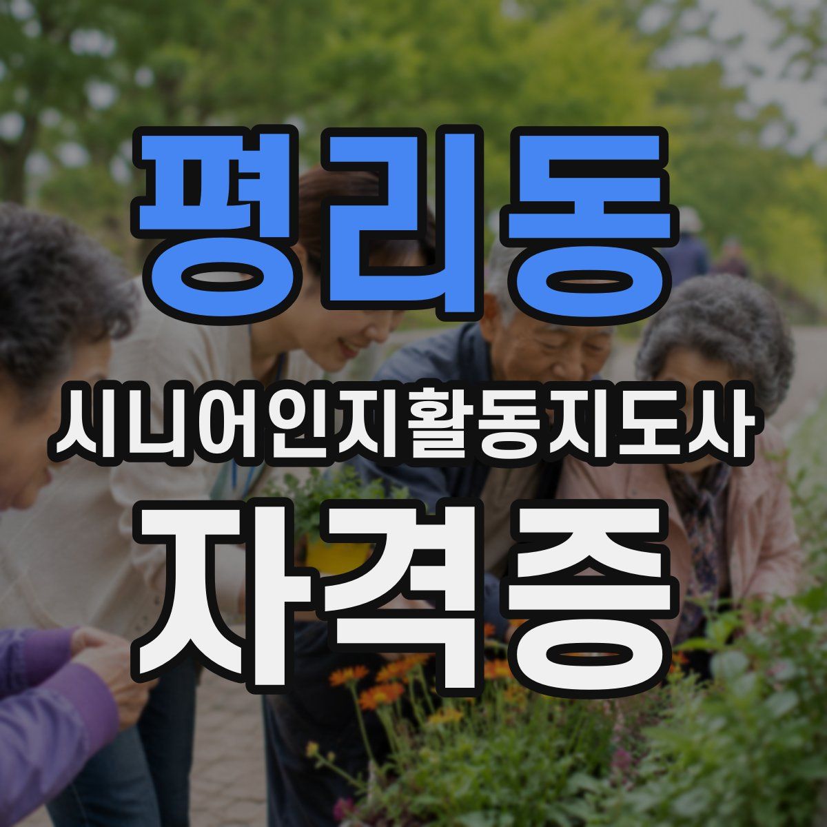 평리동 시니어인지활동지도사 자격증