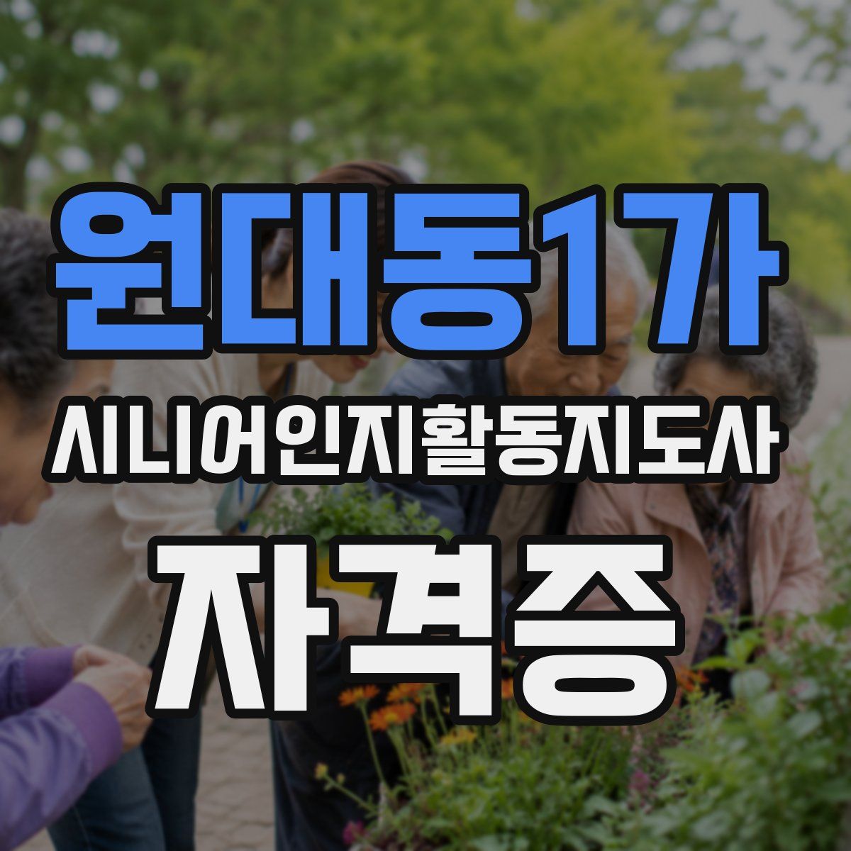 원대동1가 시니어인지활동지도사 자격증