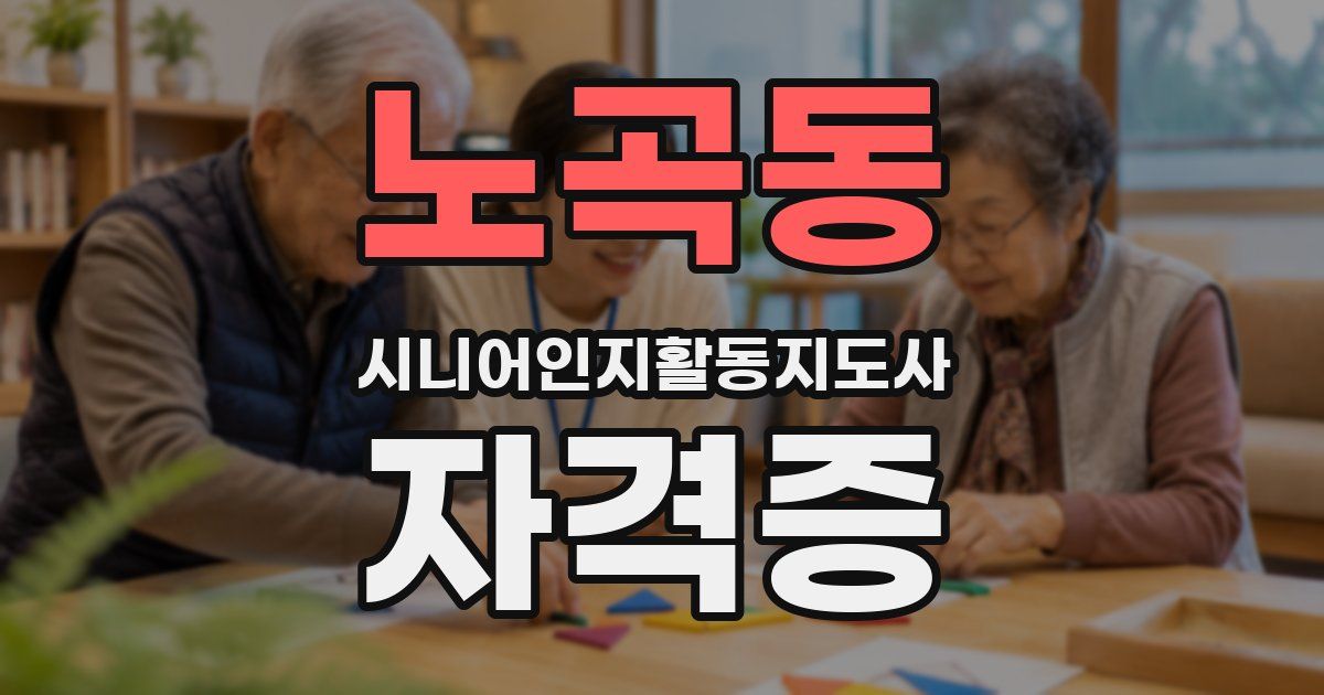 노곡동 시니어인지활동지도사 자격증