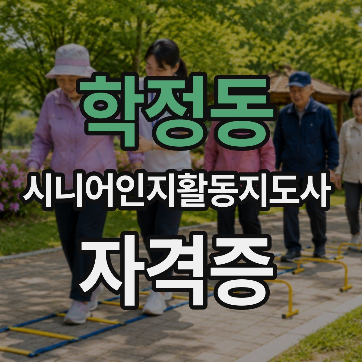 학정동 시니어인지활동지도사 자격증 취득 목적에 따라 달라지는 선택