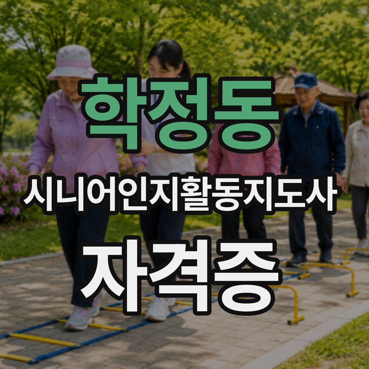 학정동 시니어인지활동지도사 자격증