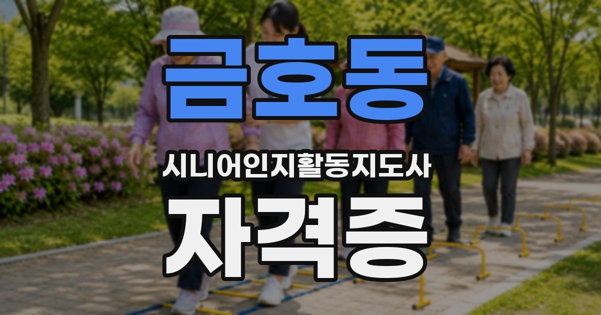 금호동 시니어인지활동지도사 자격증