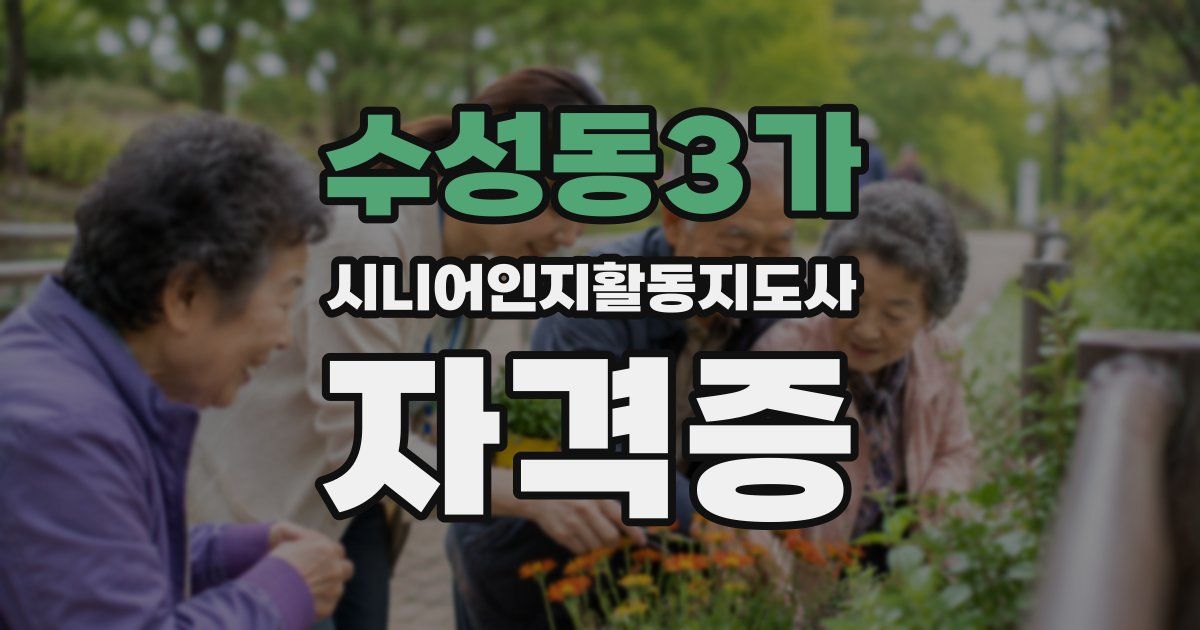 수성동3가 시니어인지활동지도사 자격증