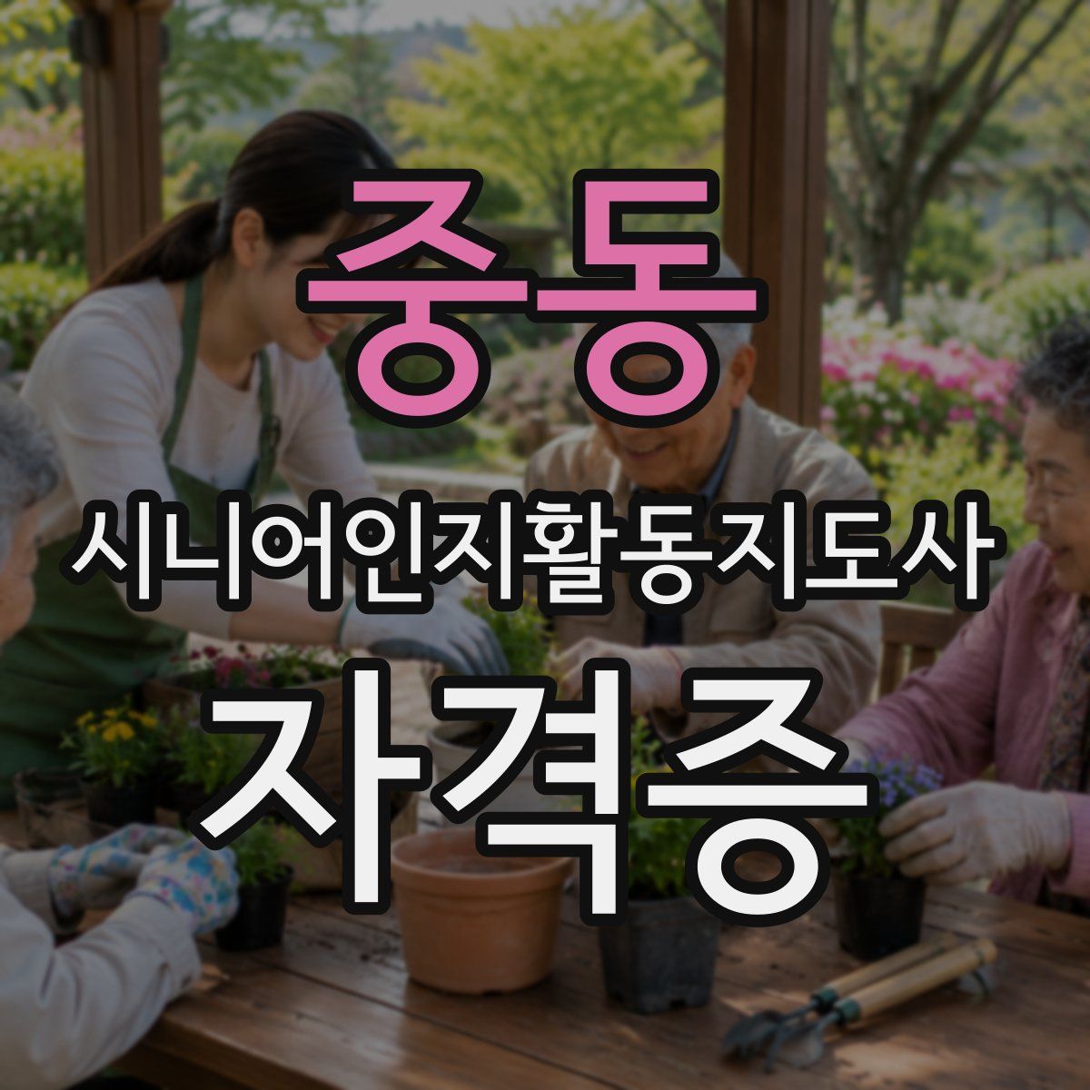 중동 시니어인지활동지도사 자격증