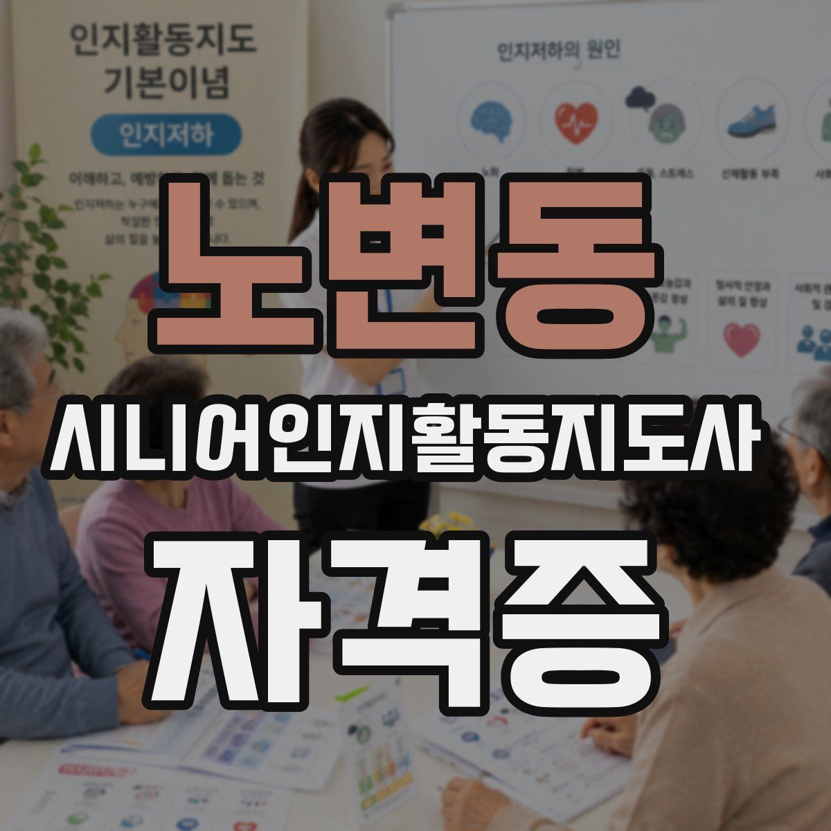 노변동 시니어인지활동지도사 자격증
