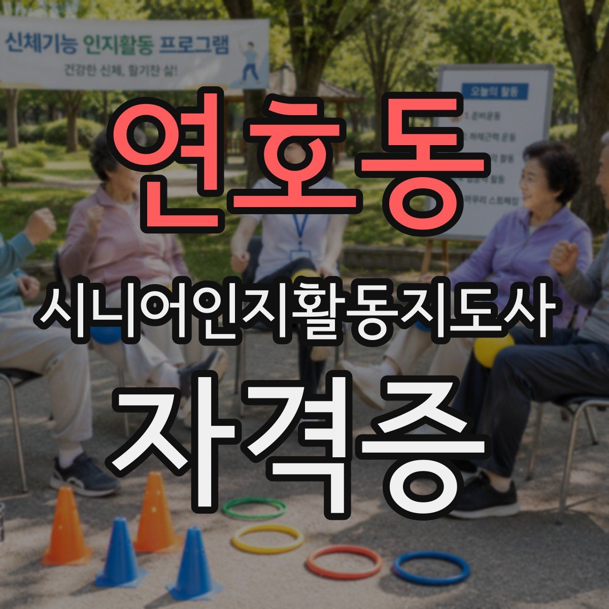연호동 시니어인지활동지도사 자격증