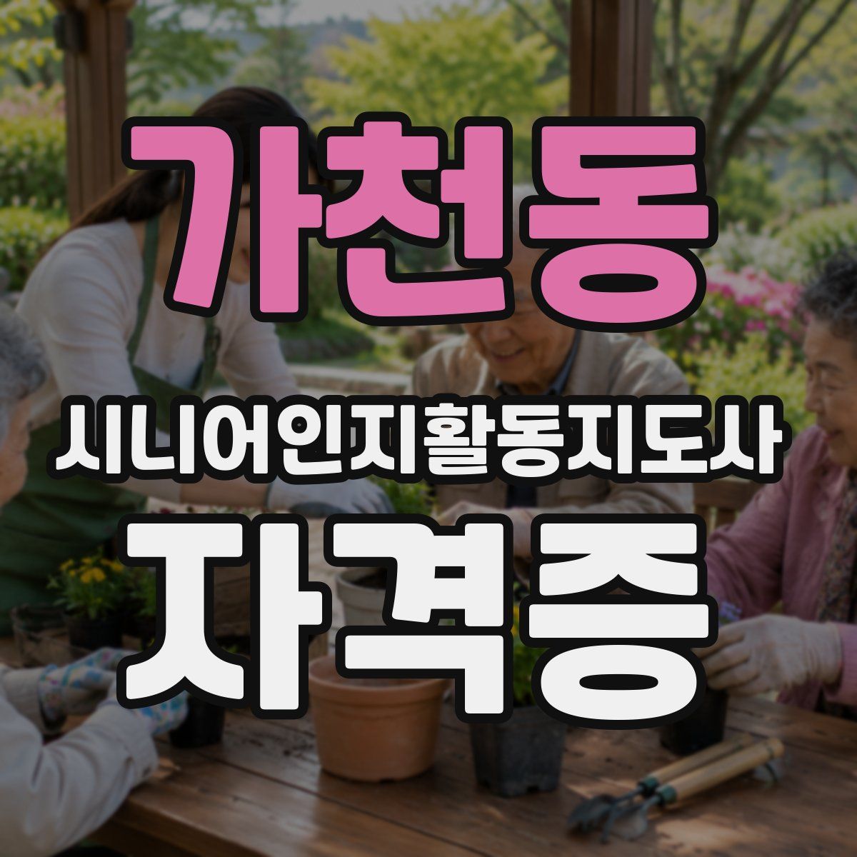 가천동 시니어인지활동지도사 자격증