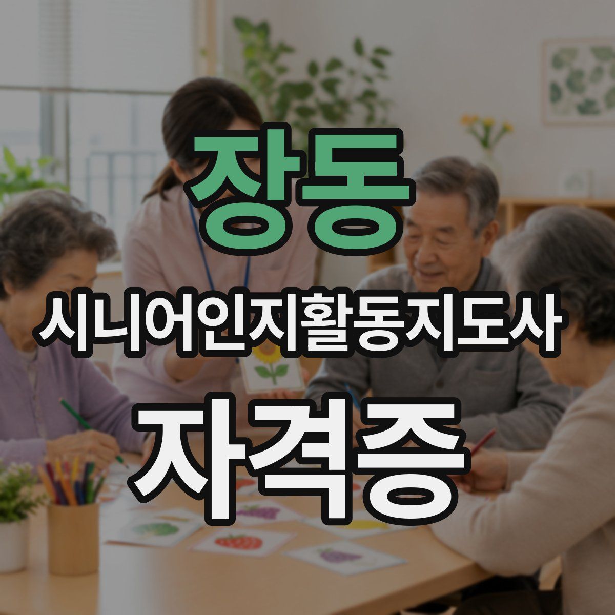 장동 시니어인지활동지도사 자격증