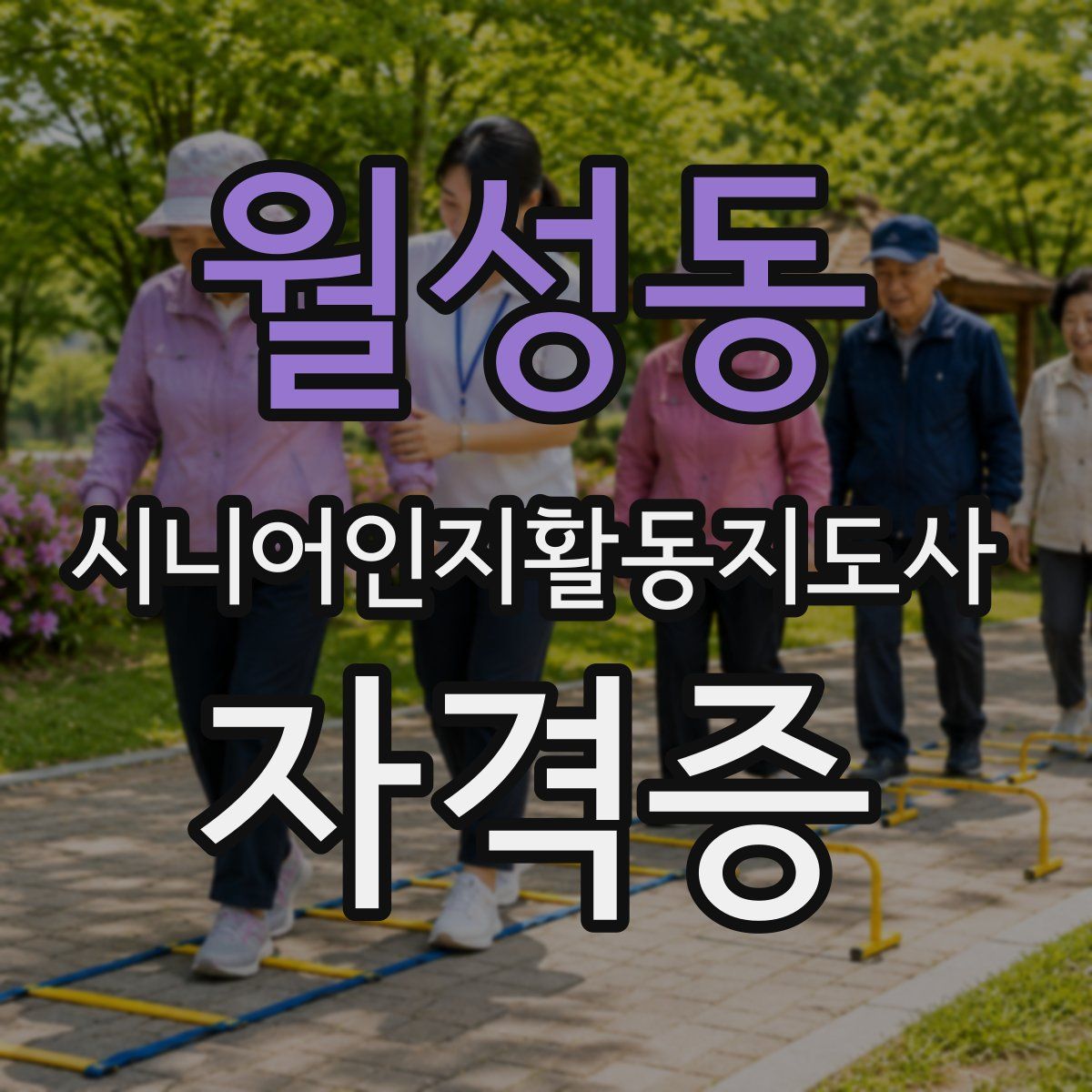 월성동 시니어인지활동지도사 자격증
