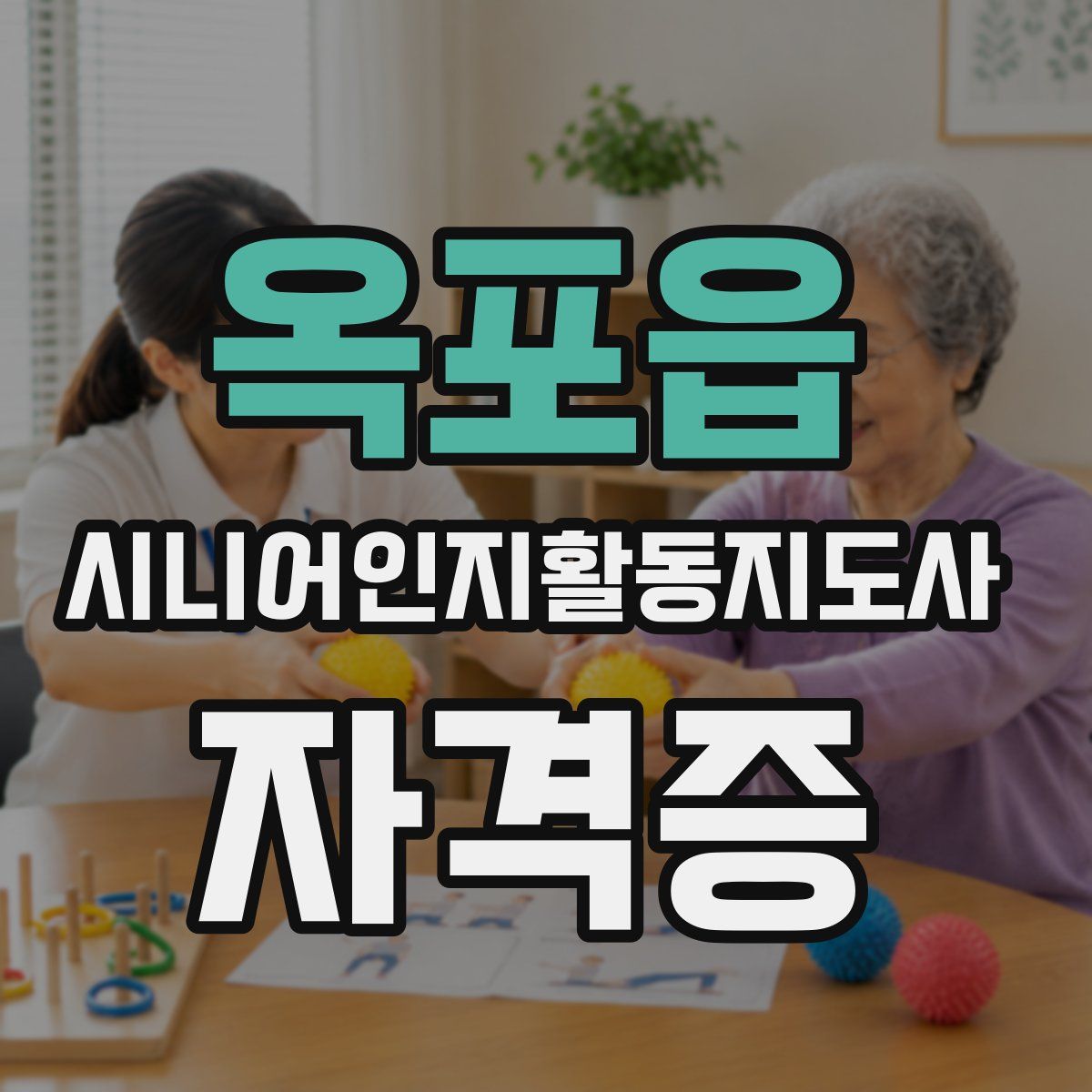 옥포읍 시니어인지활동지도사 자격증