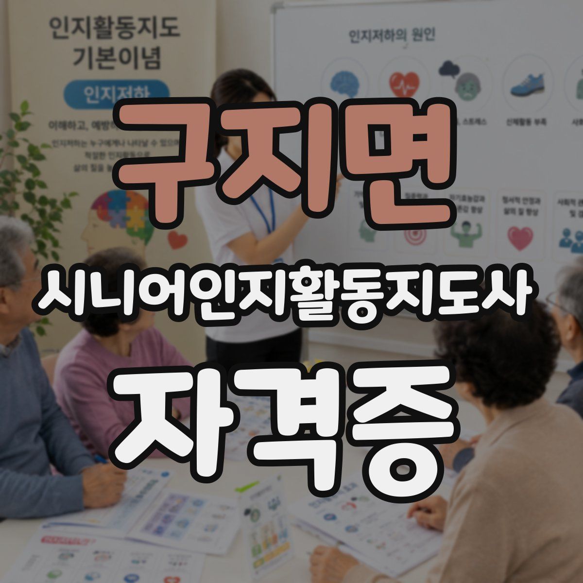 구지면 시니어인지활동지도사 자격증