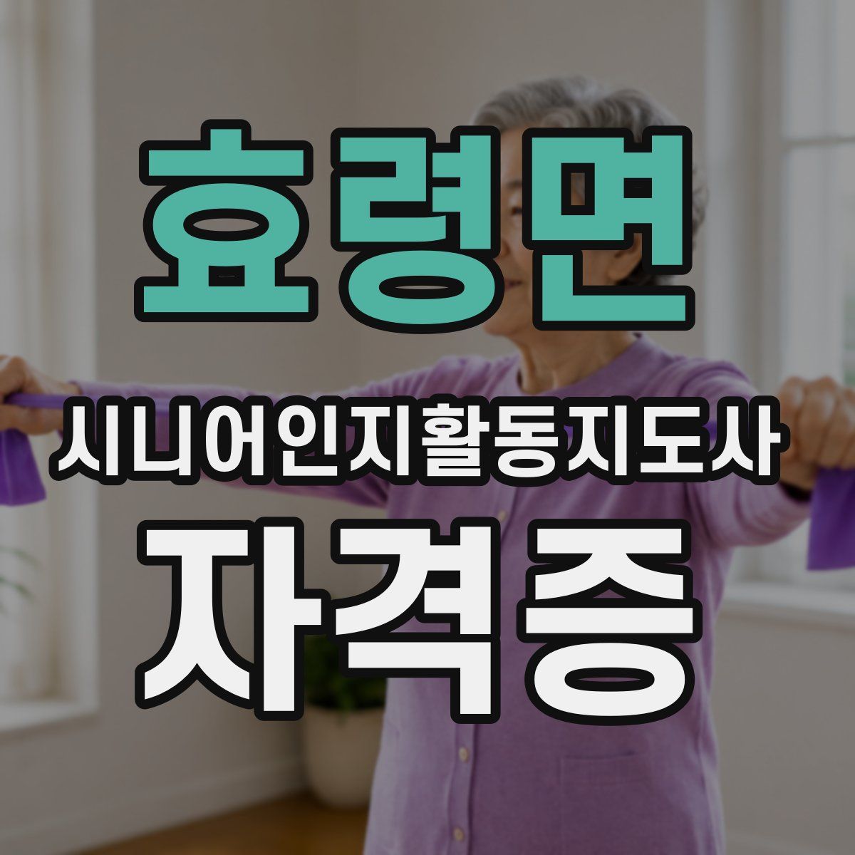 효령면 시니어인지활동지도사 자격증