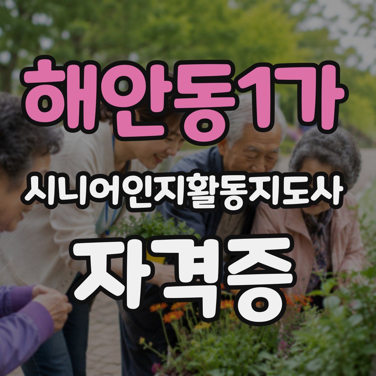 해안동1가 시니어인지활동지도사 자격증