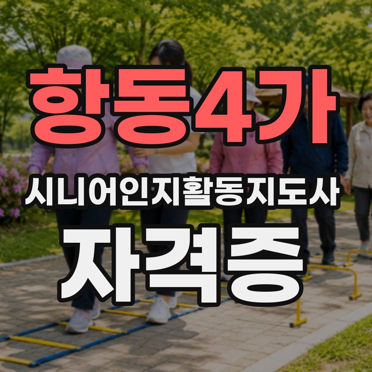 항동4가 시니어인지활동지도사 자격증