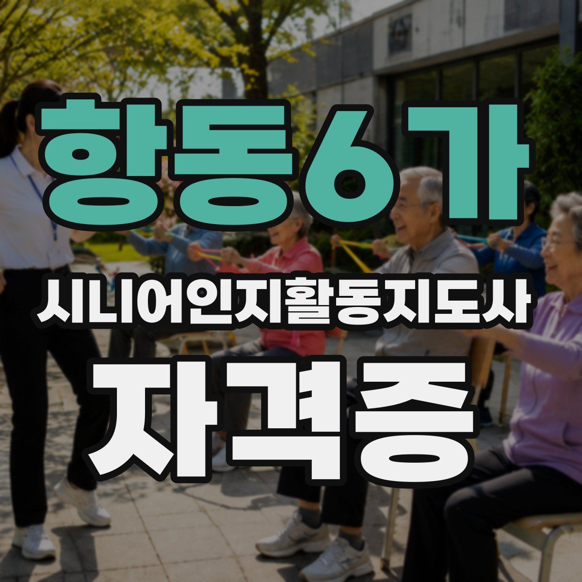 항동6가 시니어인지활동지도사 자격증