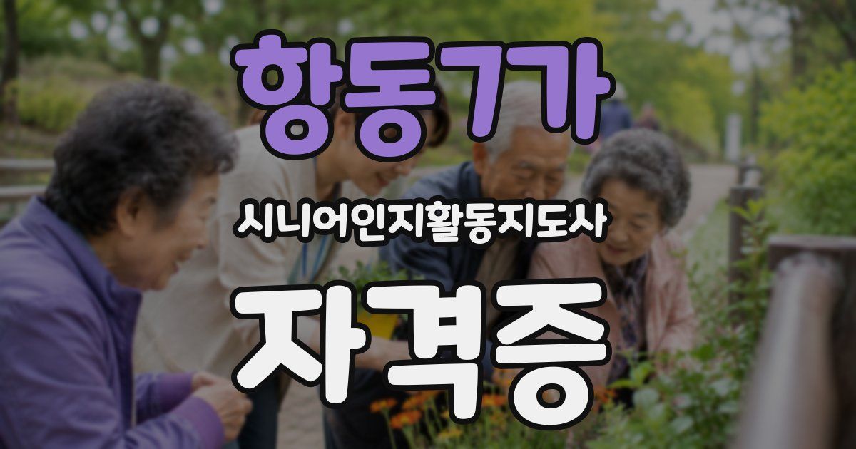 항동7가 시니어인지활동지도사 자격증