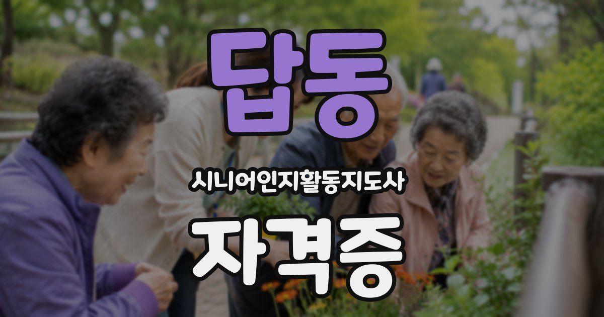 답동 시니어인지활동지도사 자격증