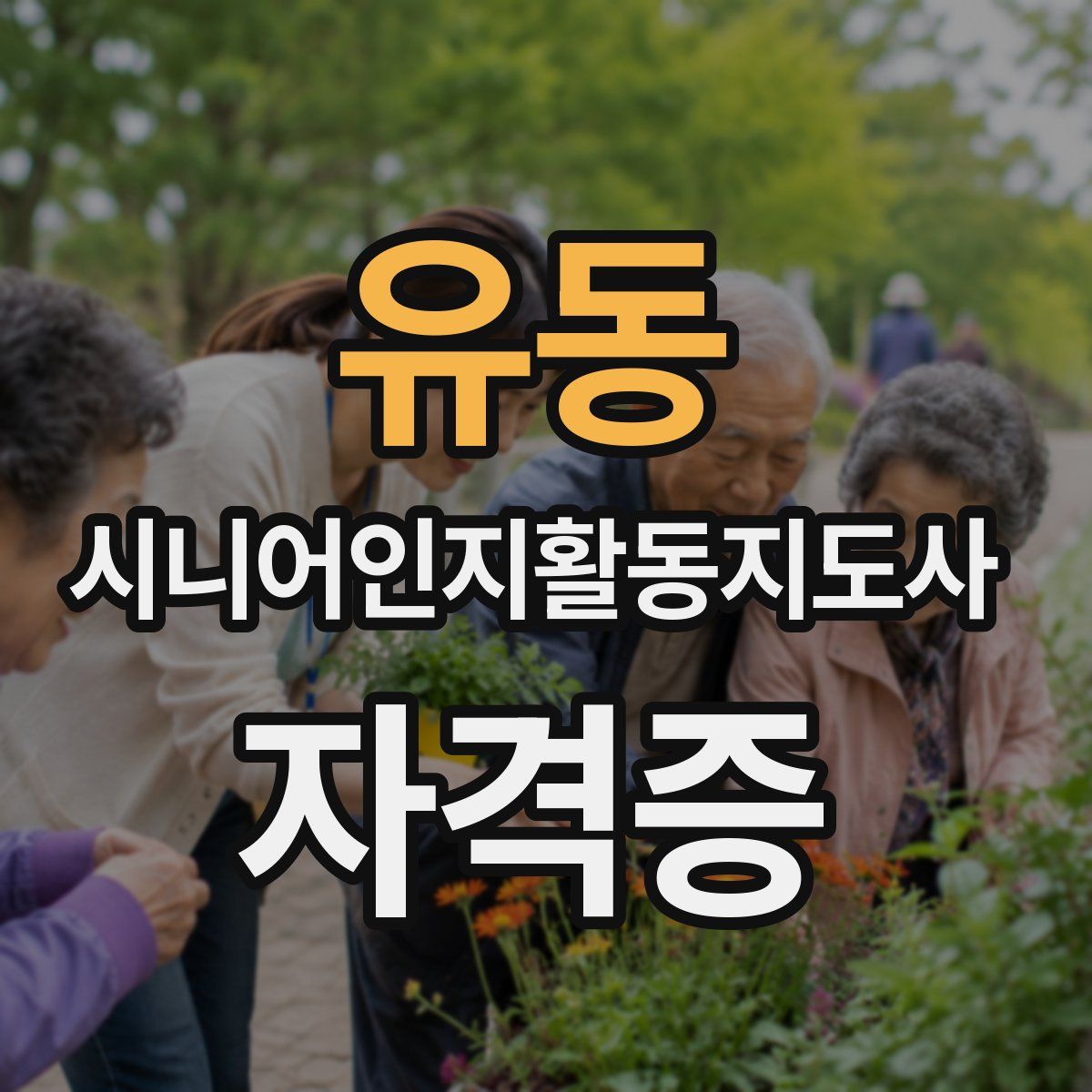 유동 시니어인지활동지도사 자격증