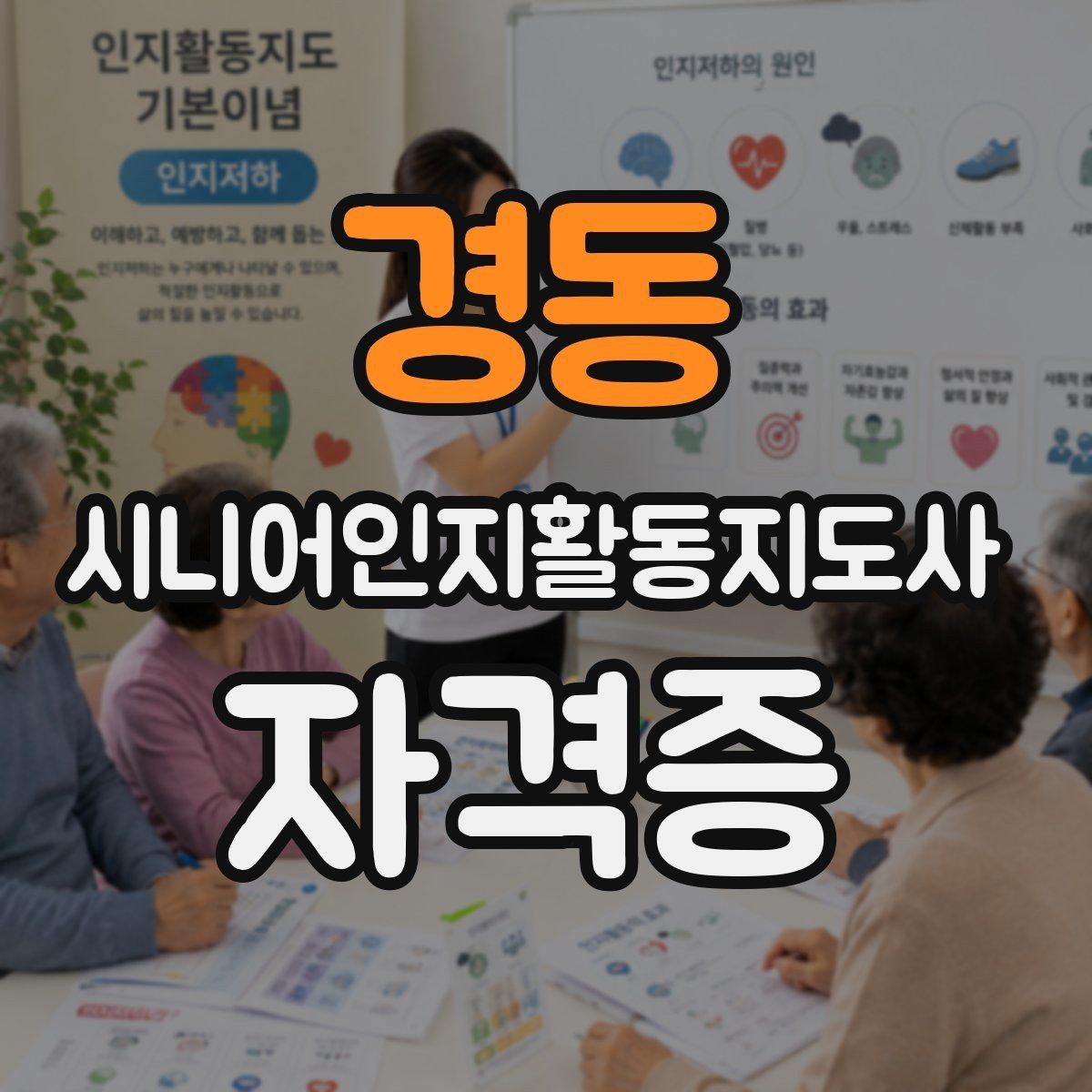 경동 시니어인지활동지도사 자격증 난이도와 학습 부담 점검