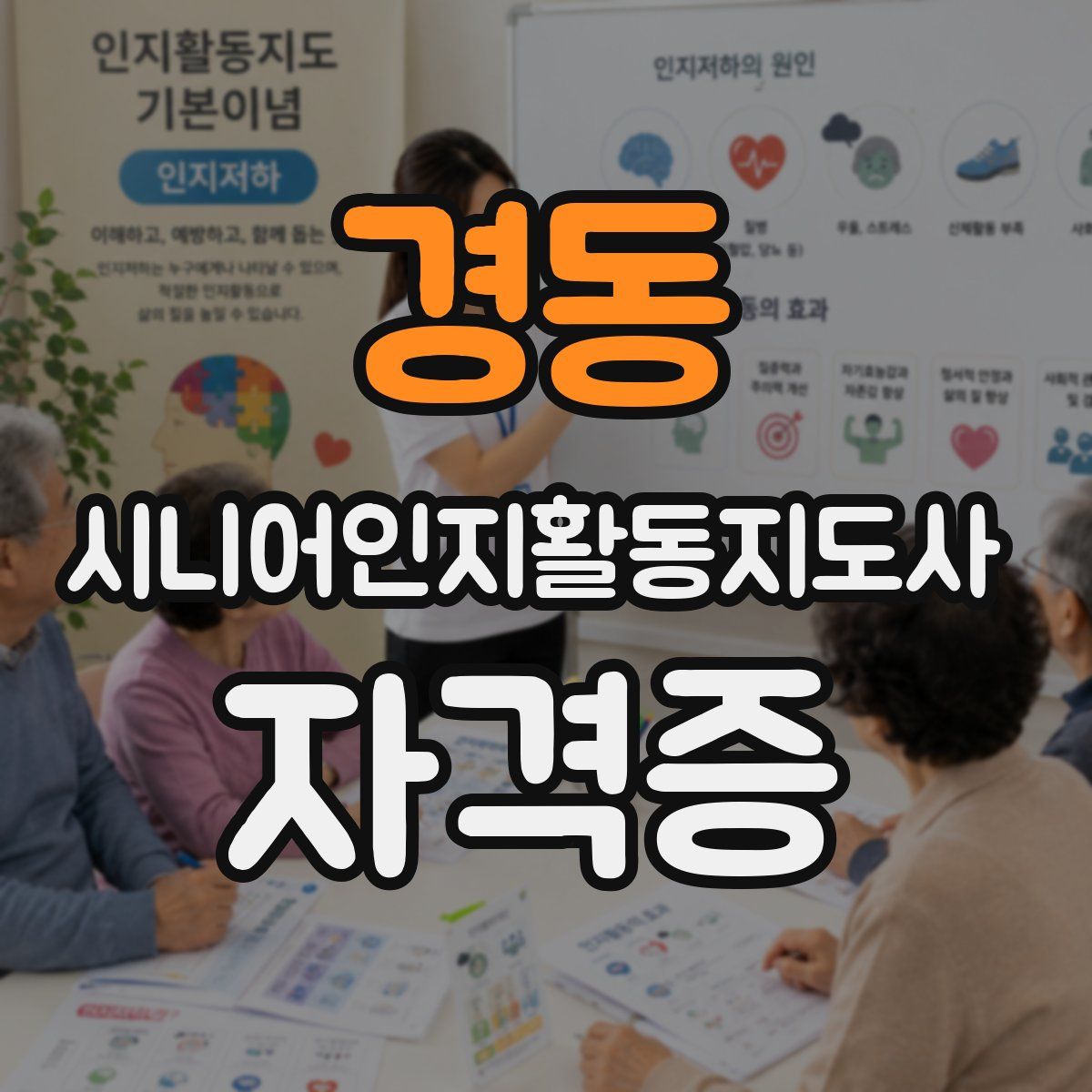 경동 시니어인지활동지도사 자격증
