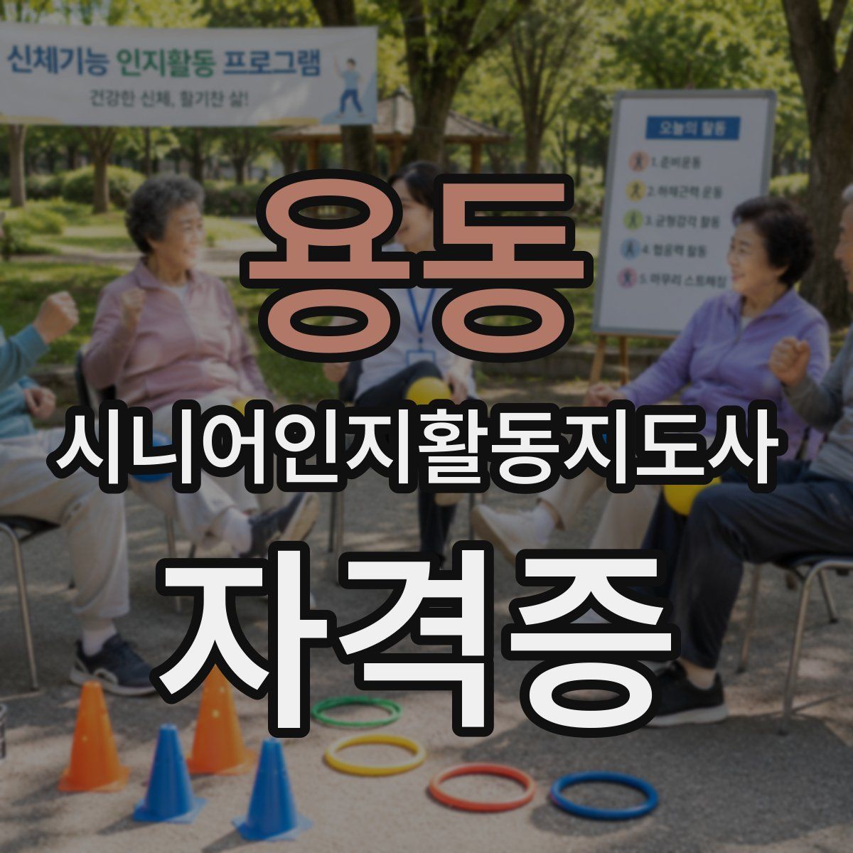용동 시니어인지활동지도사 자격증