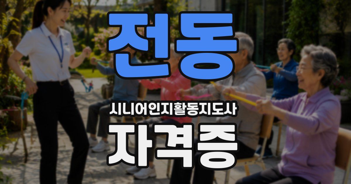 전동 시니어인지활동지도사 자격증