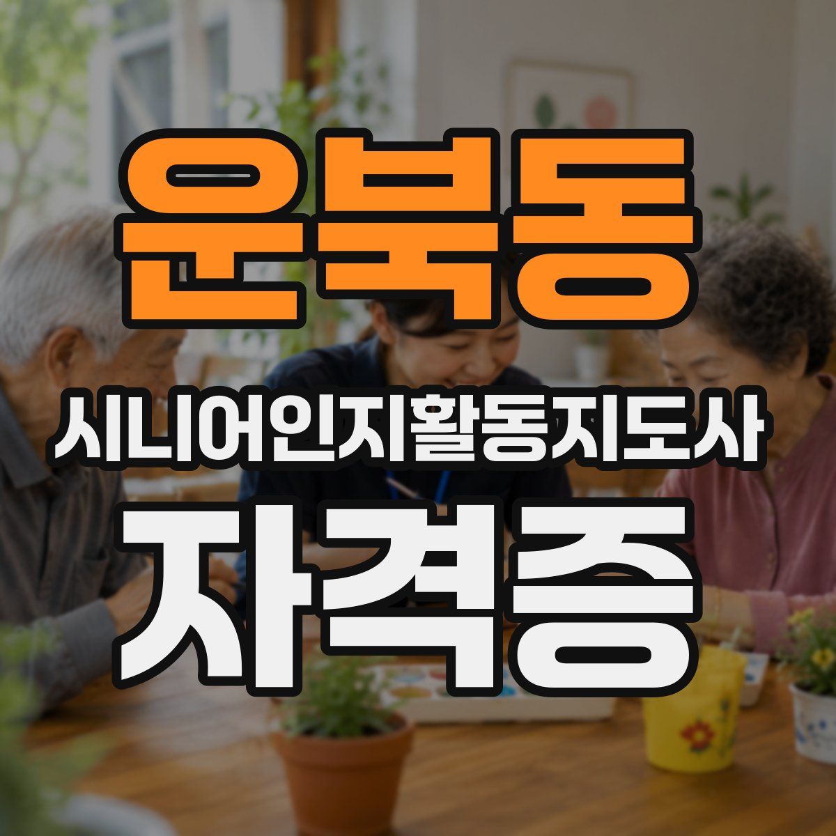 운북동 시니어인지활동지도사 자격증
