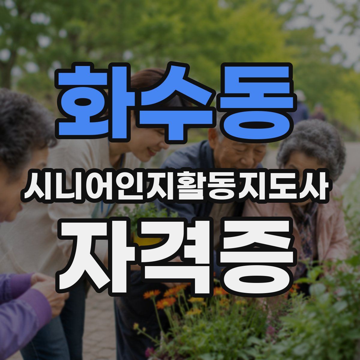 화수동 시니어인지활동지도사 자격증