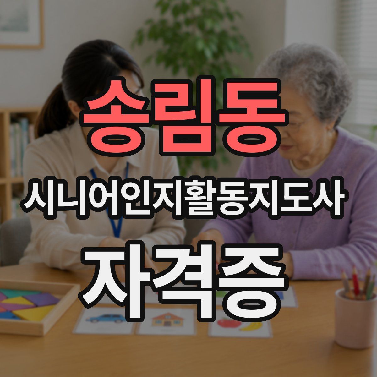 송림동 시니어인지활동지도사 자격증