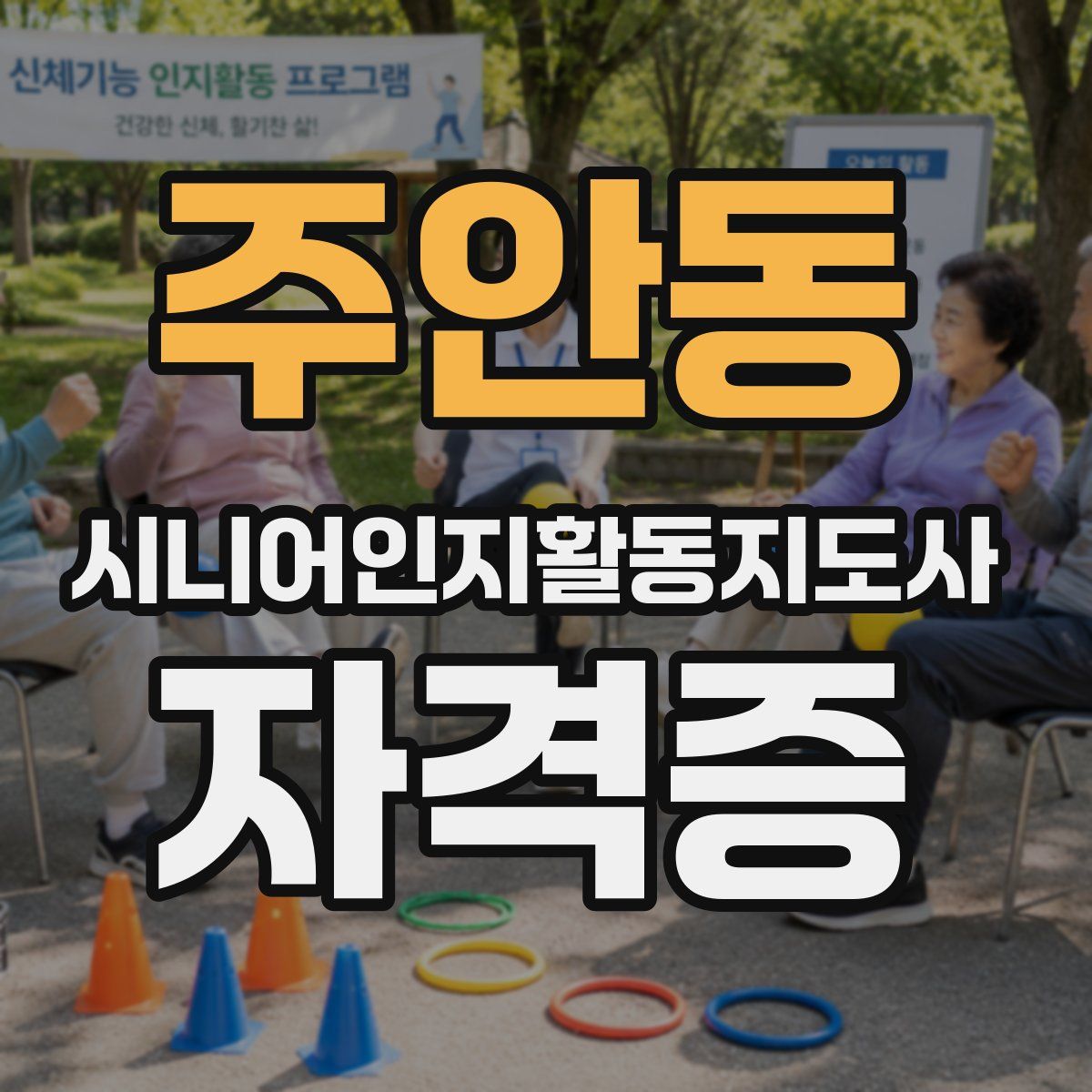 주안동 시니어인지활동지도사 자격증