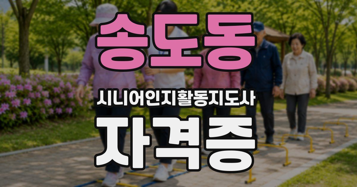 송도동 시니어인지활동지도사 자격증