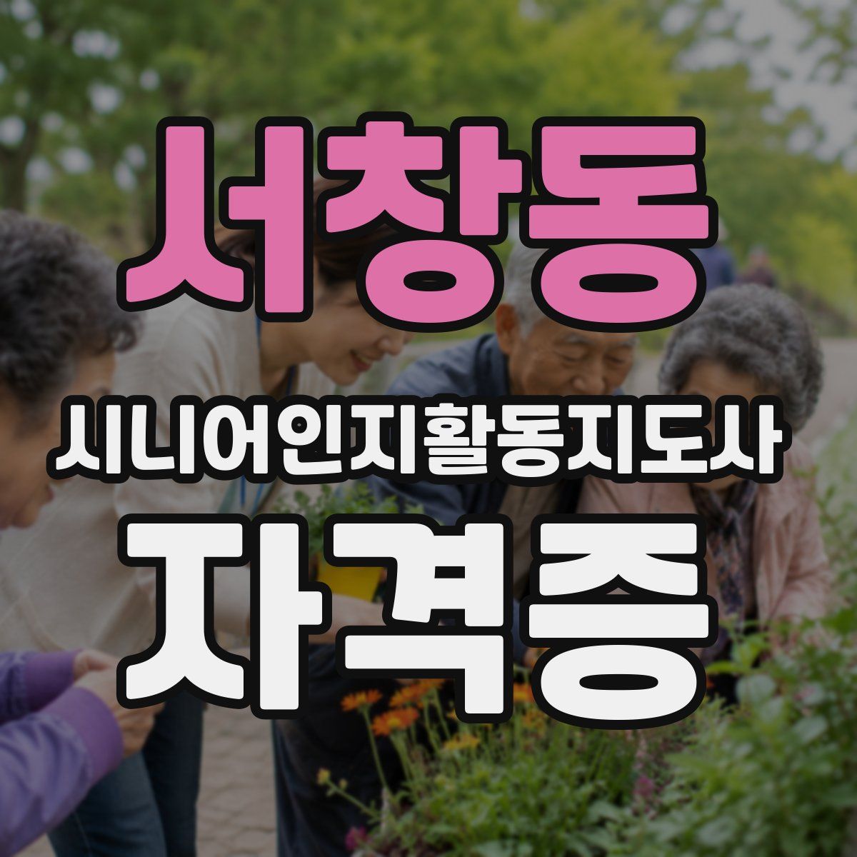 서창동 시니어인지활동지도사 자격증