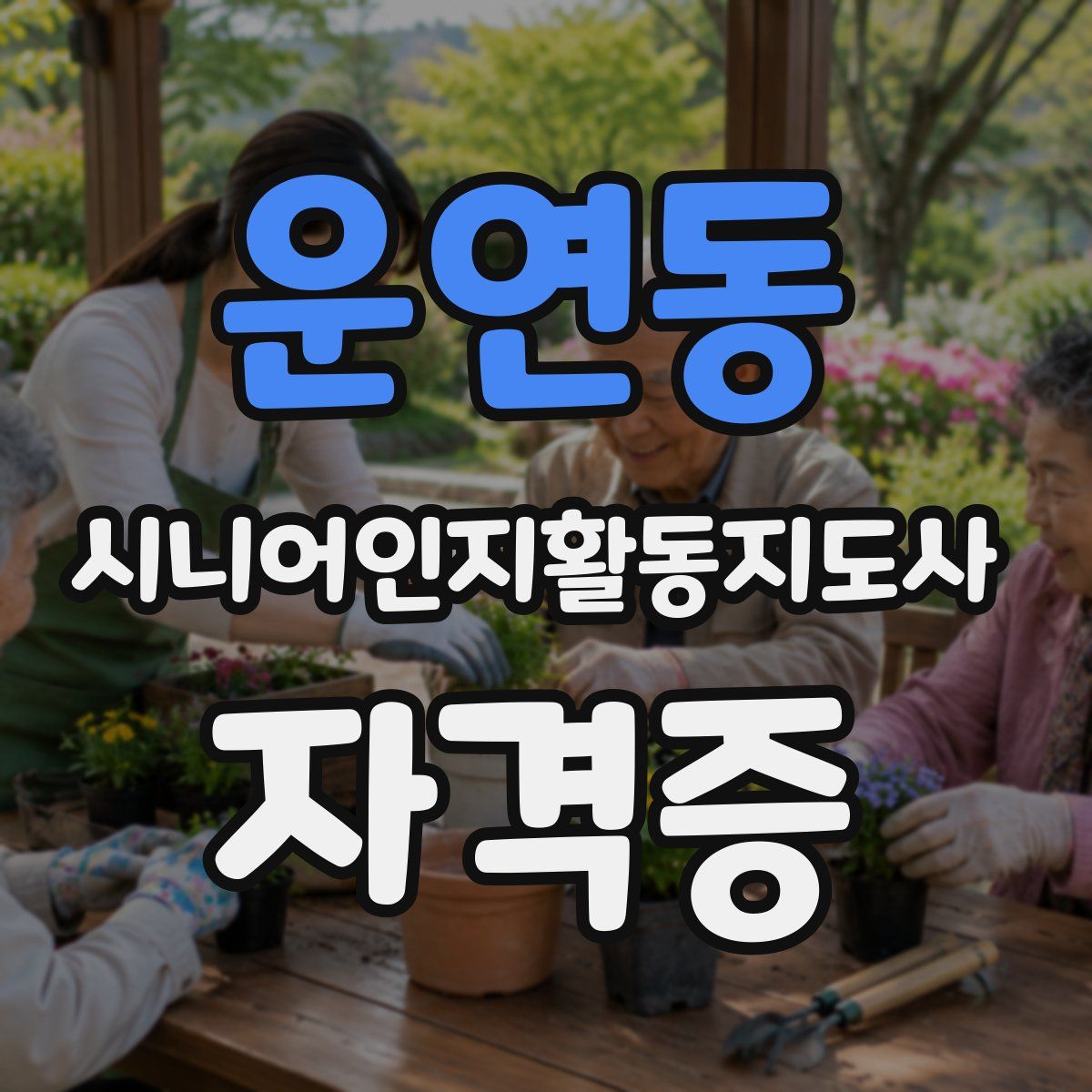 운연동 시니어인지활동지도사 자격증