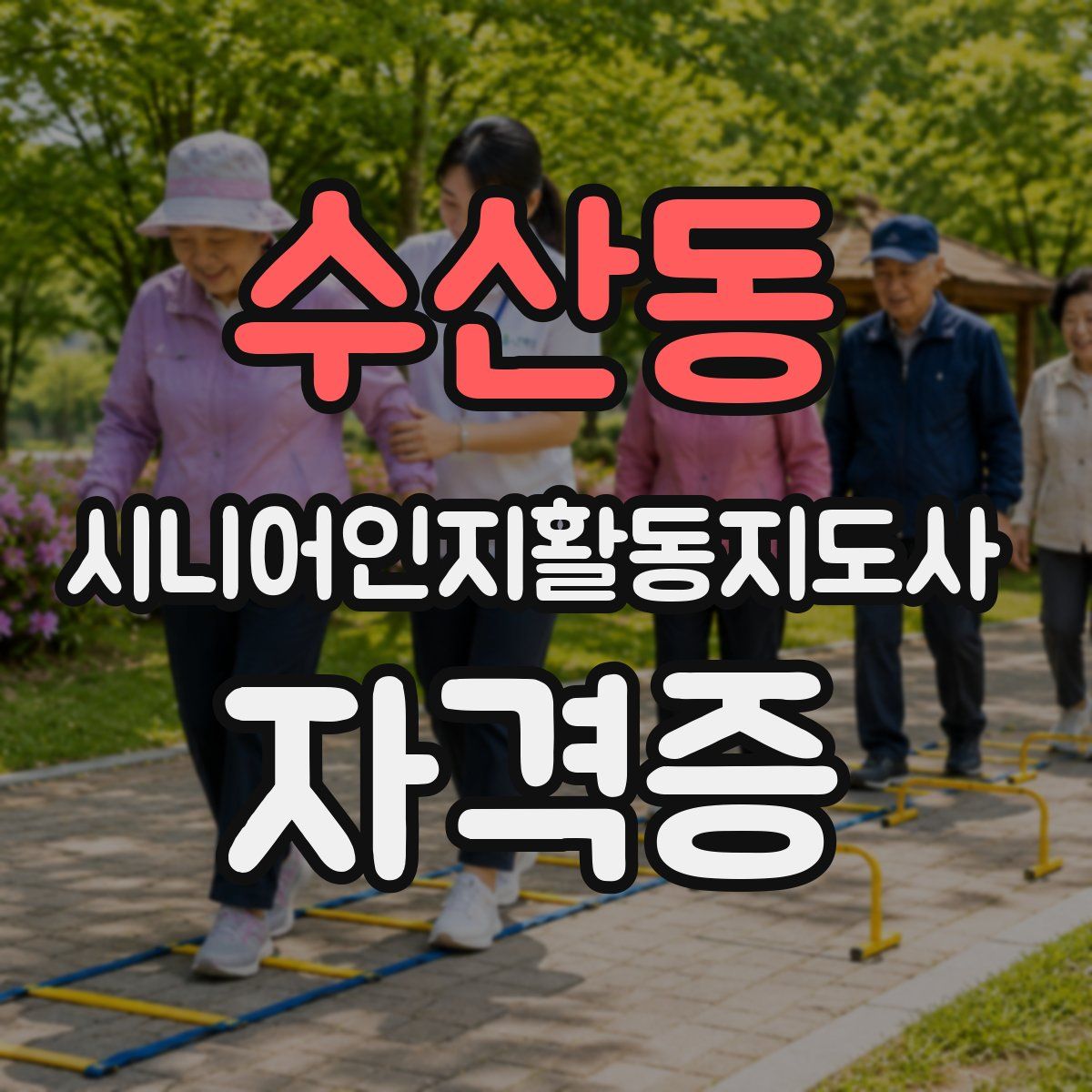 수산동 시니어인지활동지도사 자격증