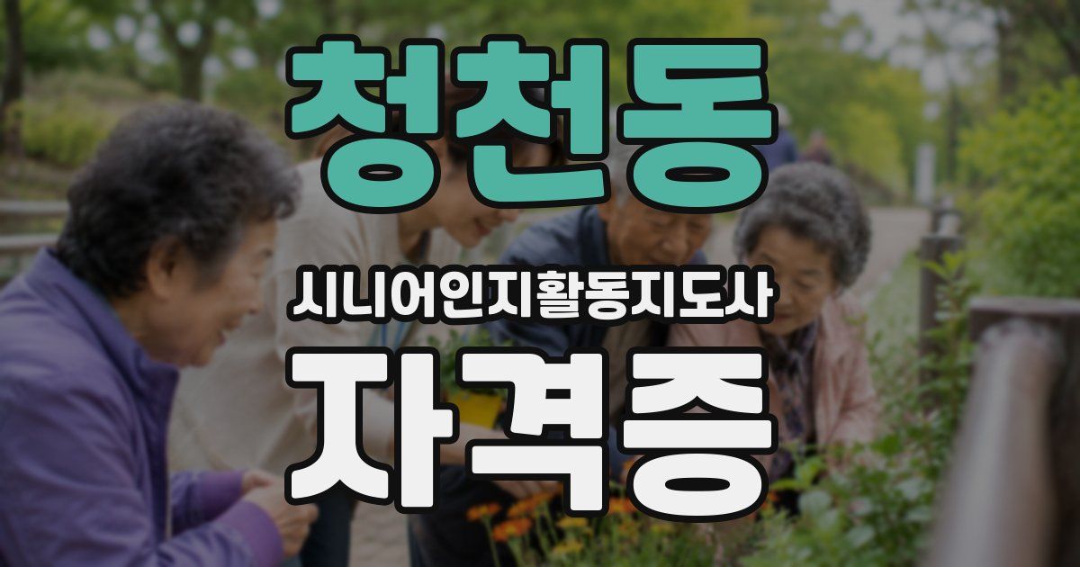 청천동 시니어인지활동지도사 자격증