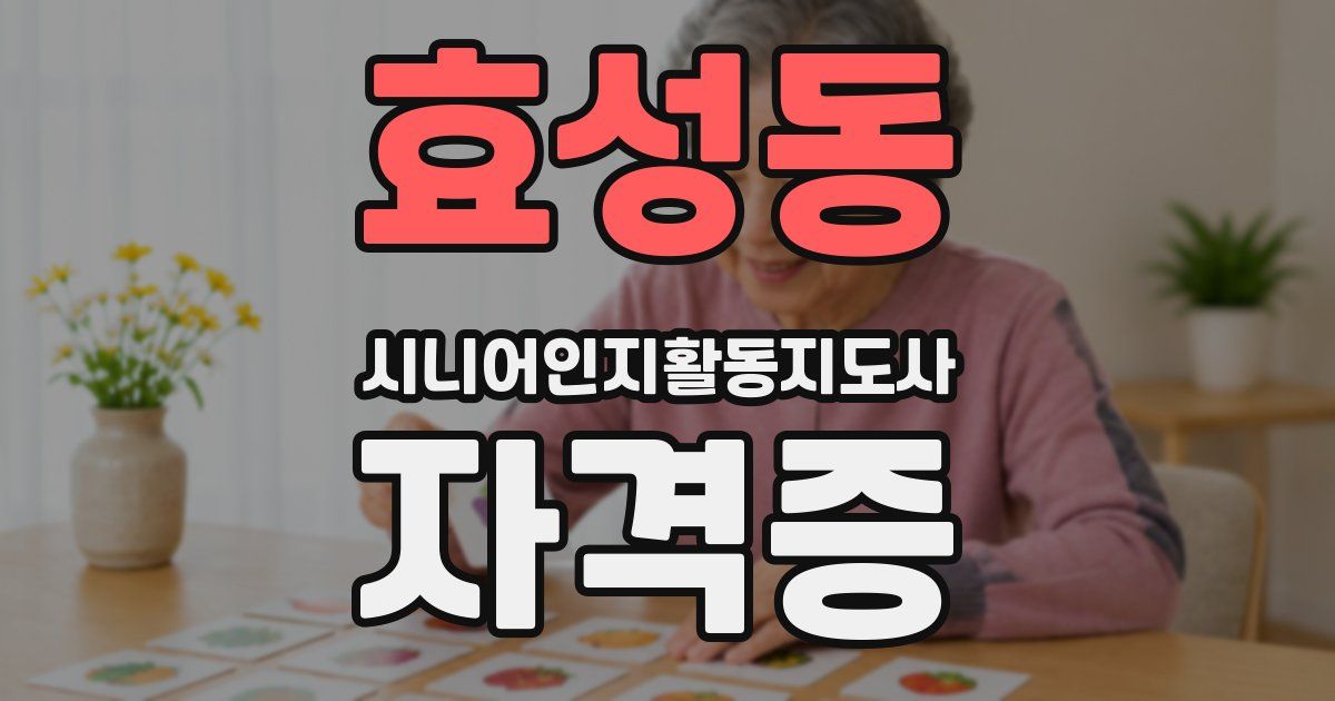 효성동 시니어인지활동지도사 자격증