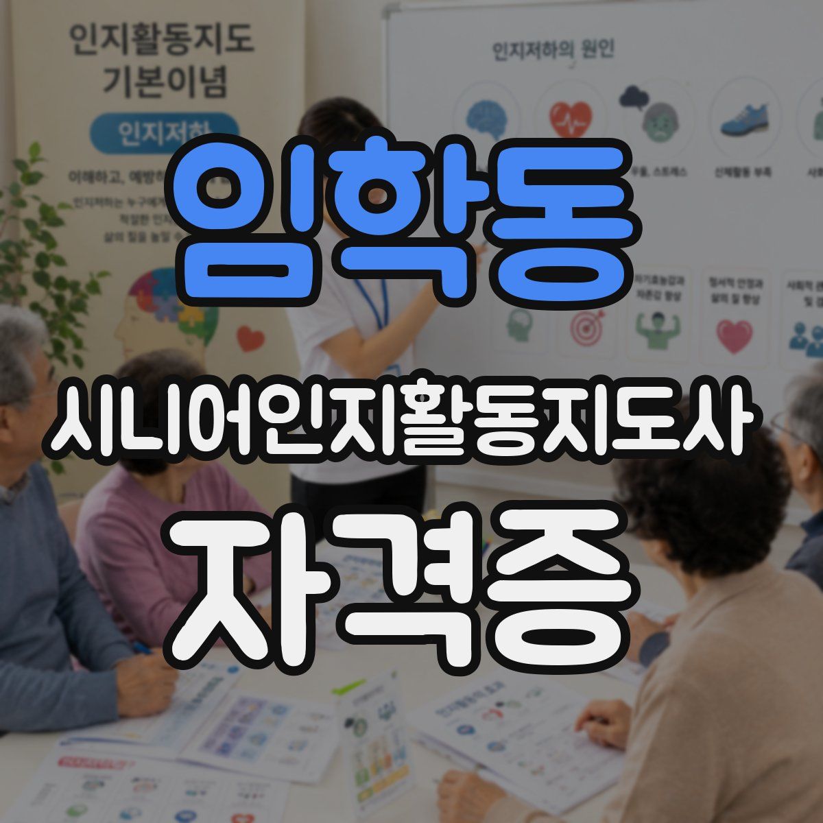 임학동 시니어인지활동지도사 자격증