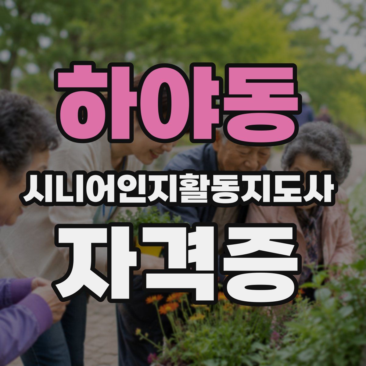 하야동 시니어인지활동지도사 자격증