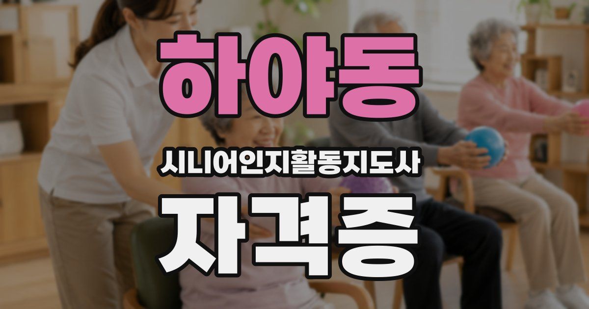 하야동 시니어인지활동지도사 자격증