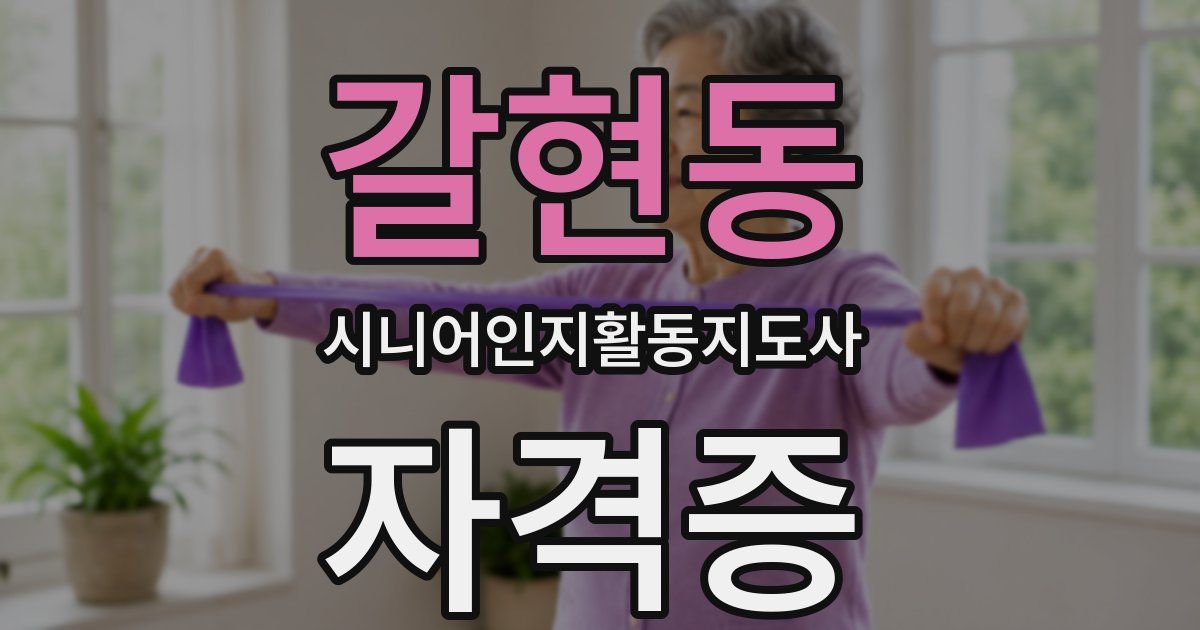 갈현동 시니어인지활동지도사 자격증