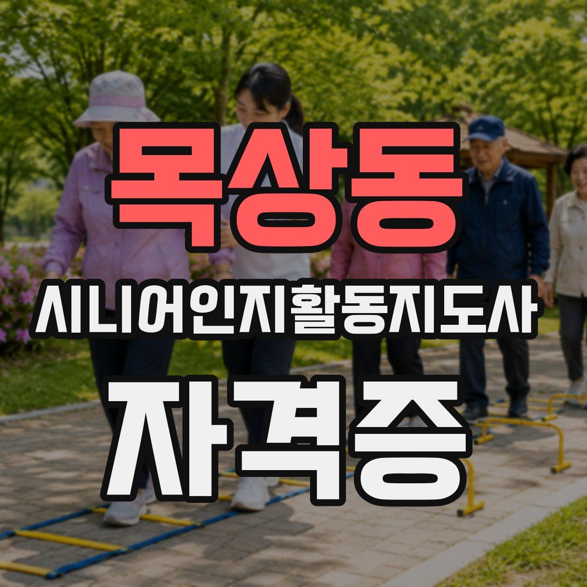 목상동 시니어인지활동지도사 자격증