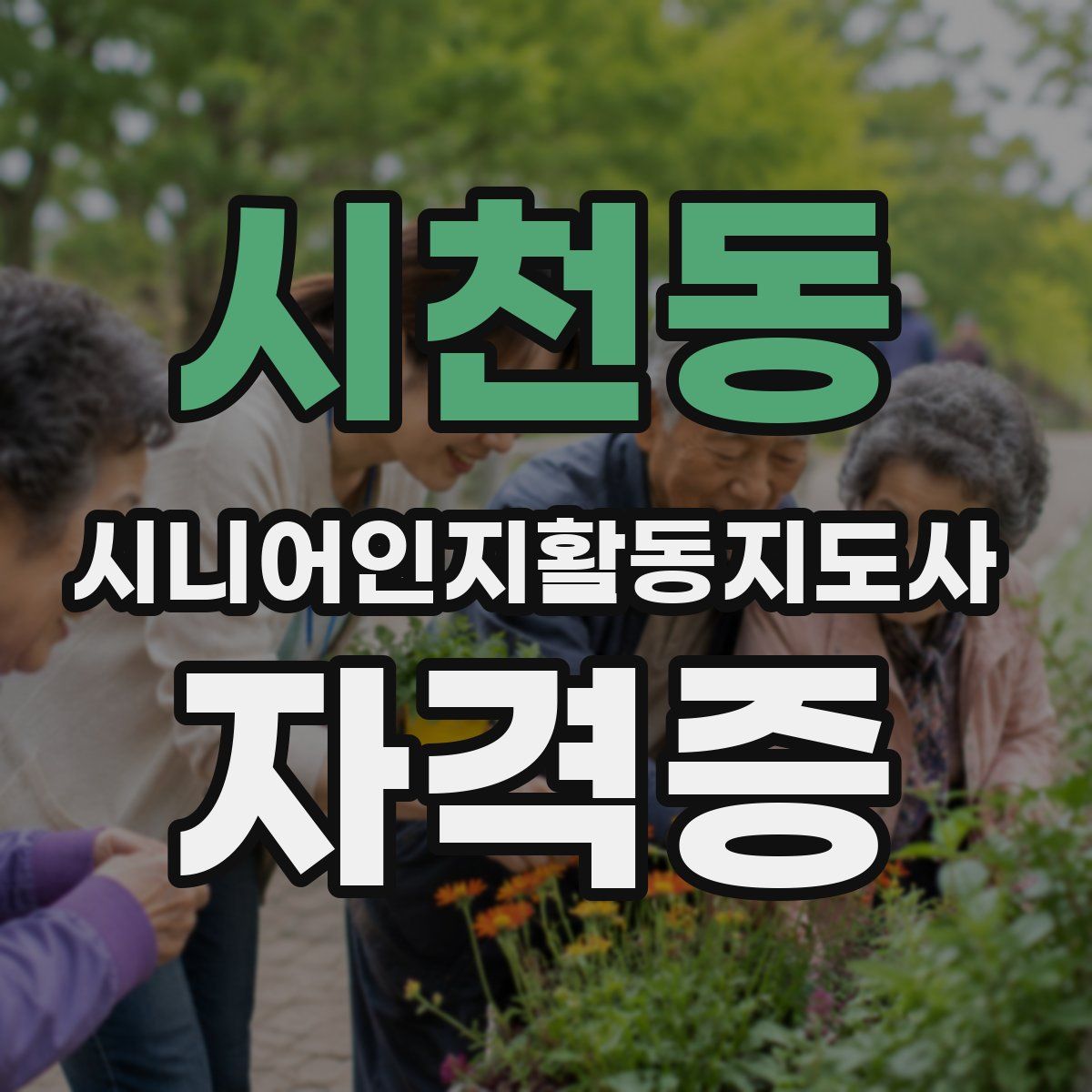 시천동 시니어인지활동지도사 자격증