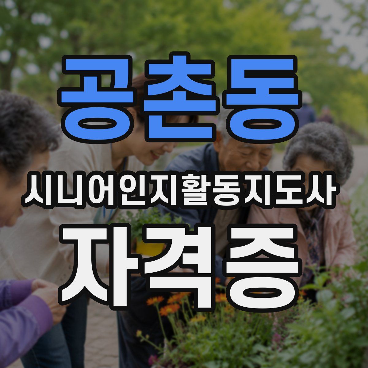 공촌동 시니어인지활동지도사 자격증