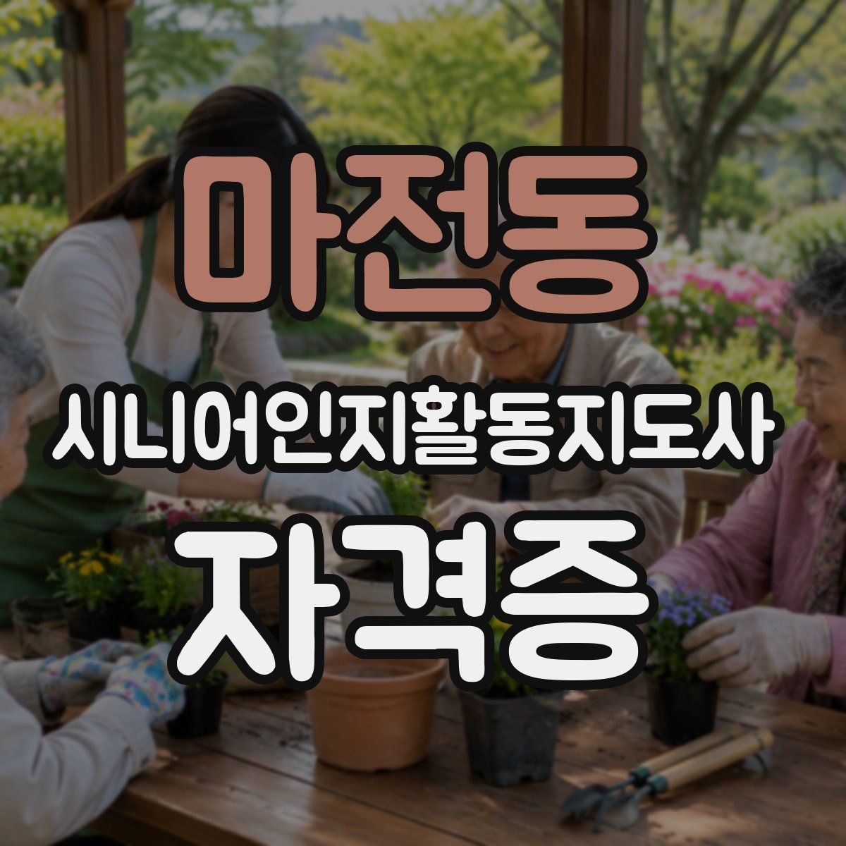 마전동 시니어인지활동지도사 자격증