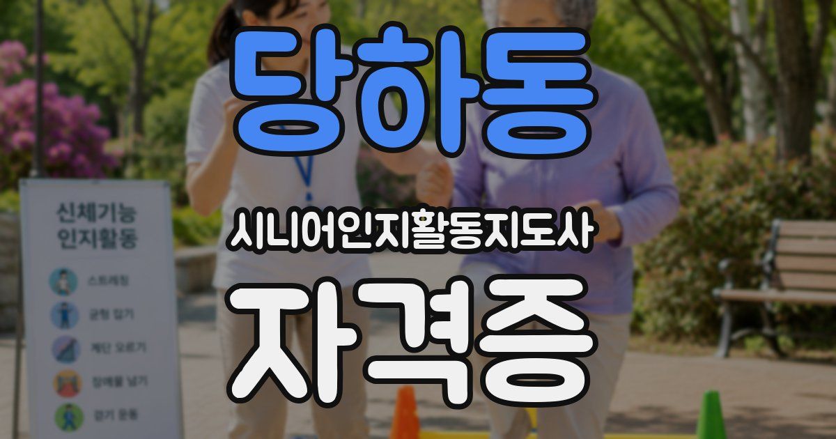 당하동 시니어인지활동지도사 자격증