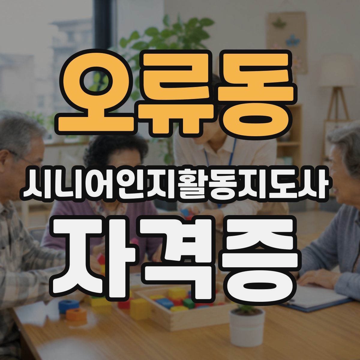 오류동 시니어인지활동지도사 자격증