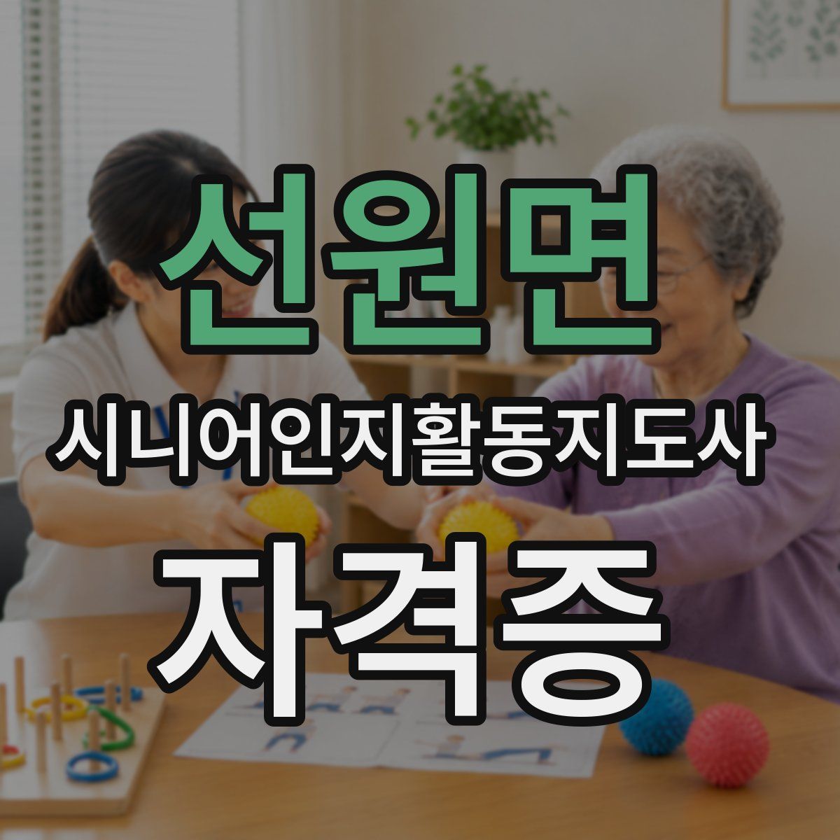 선원면 시니어인지활동지도사 자격증